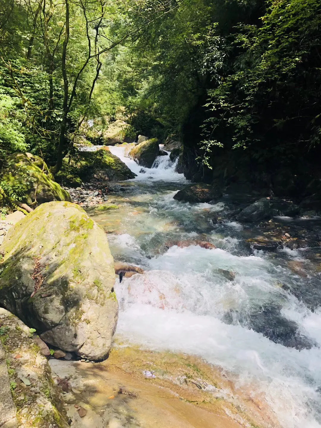 虫虫助手下载